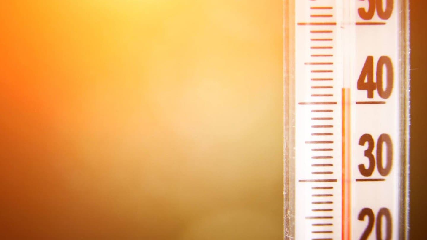 Point info canicule/plan blanc